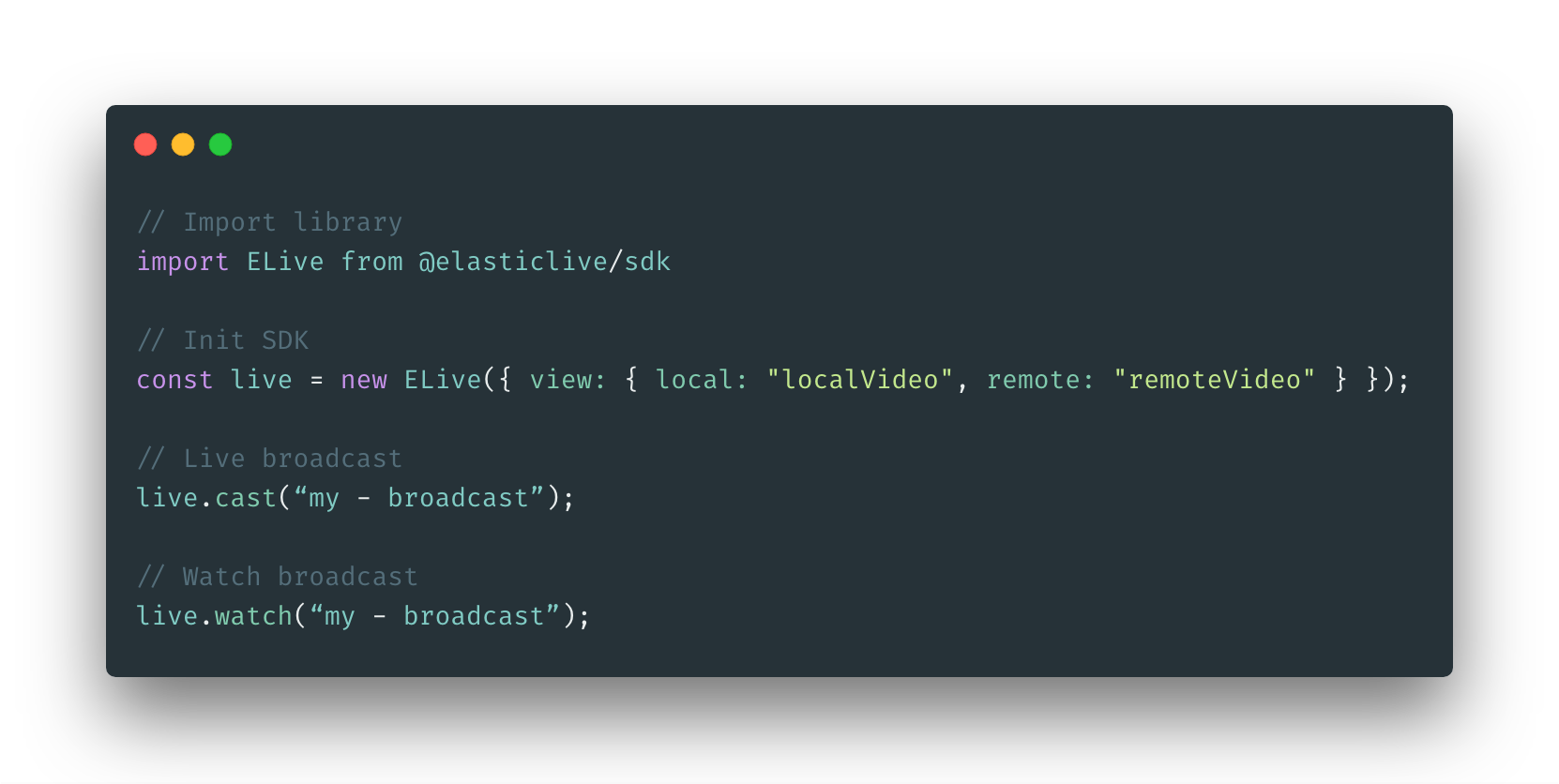 elasticlive gallery image