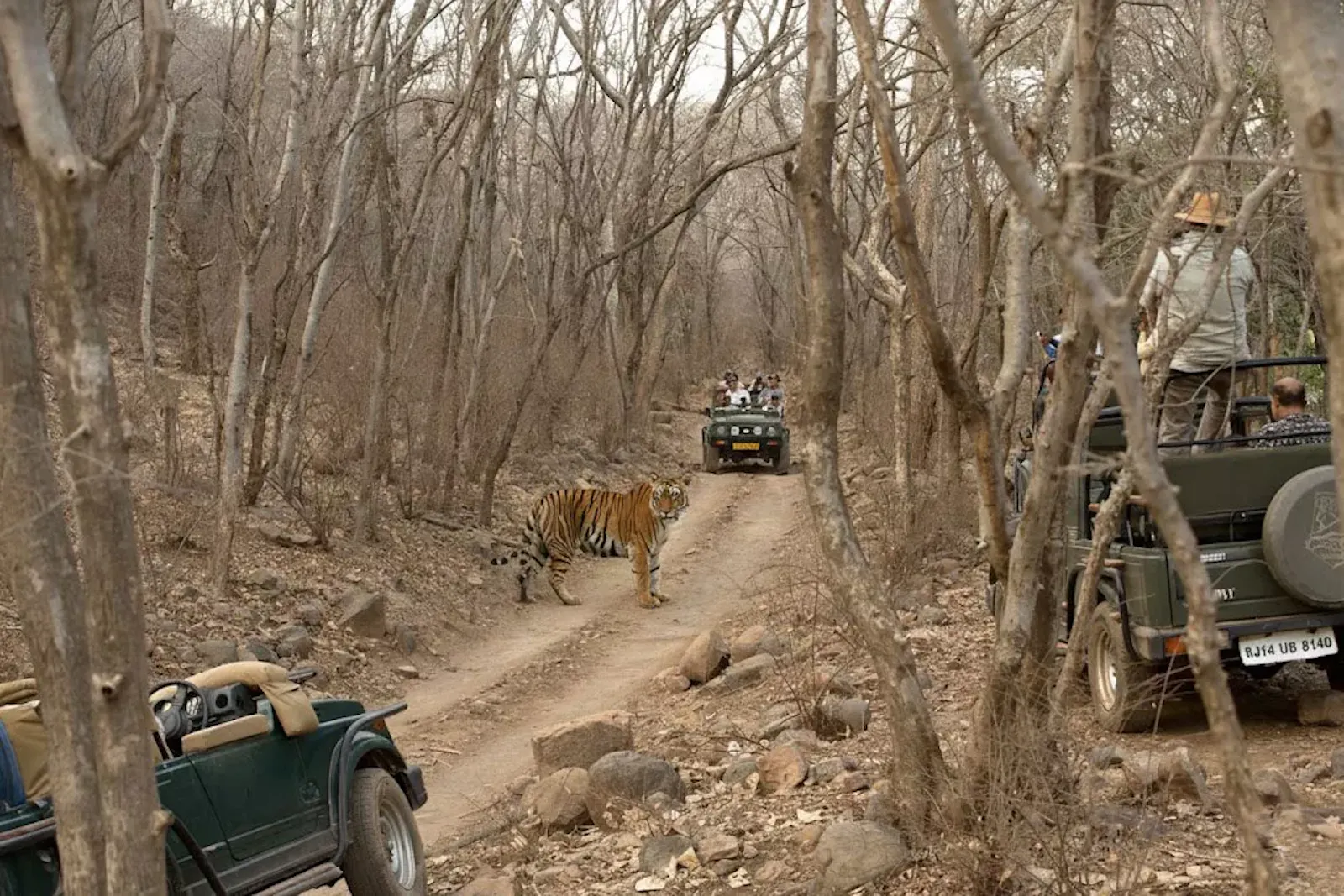 Cultural Safari Tours screenshot 6