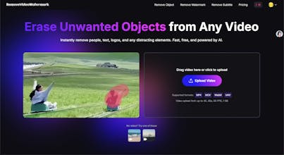 AI Video Object Remover - Erase Anything gallery image