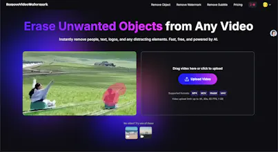 AI Video Object Remover - Erase Anything gallery image