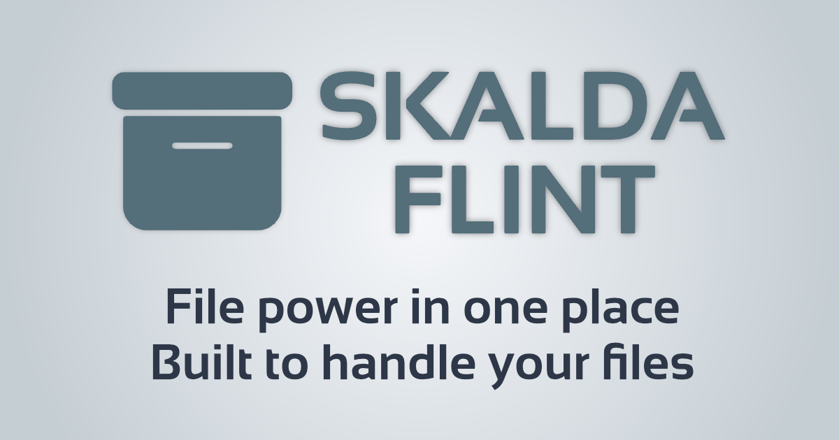 FLINT - Main product screenshot demonstrating key features and user interface