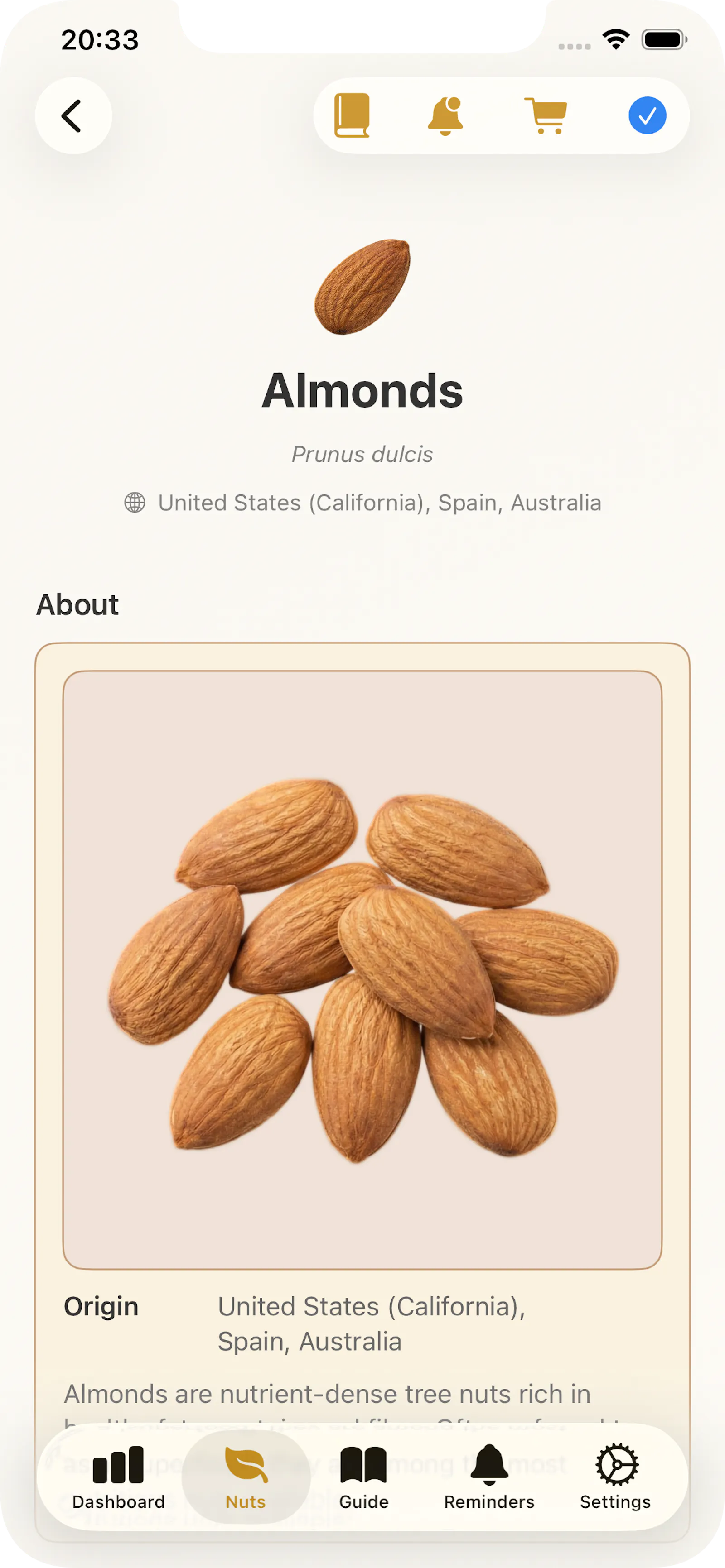 NutCase screenshot 5