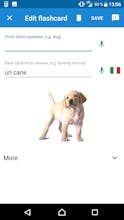Learn languages on the go - VocApp gallery image