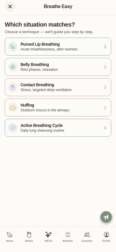 My Within gallery image