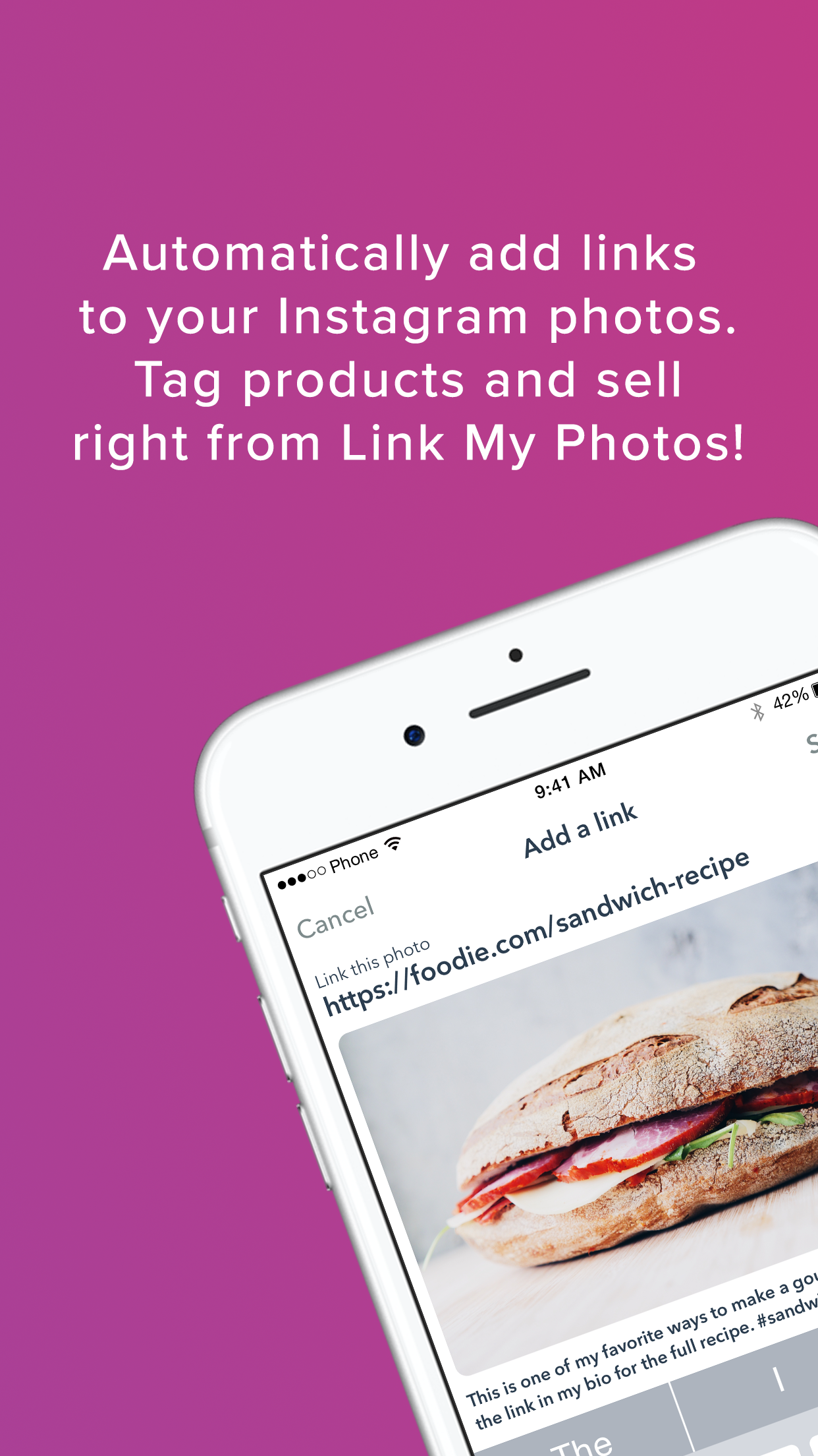 Link My Photos gallery image