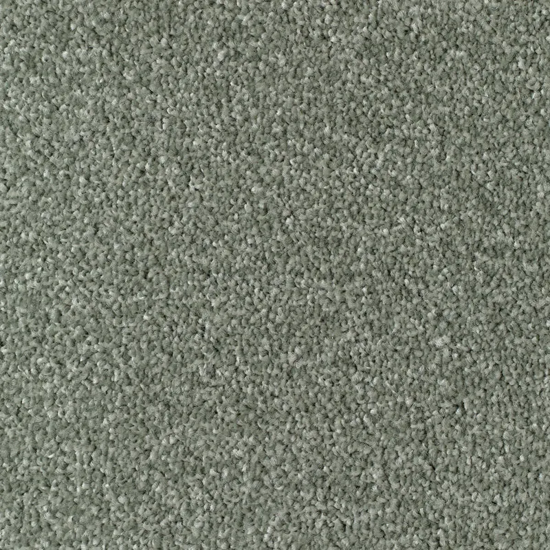 Carpets Online