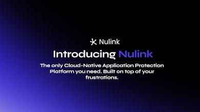 Nulink Security gallery image