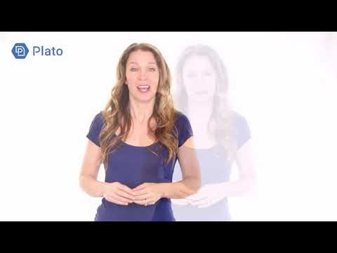 PlatoDIY gallery image