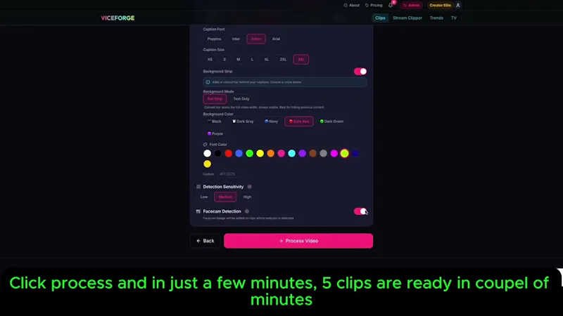 ViceForge screenshot 1 (video preview)