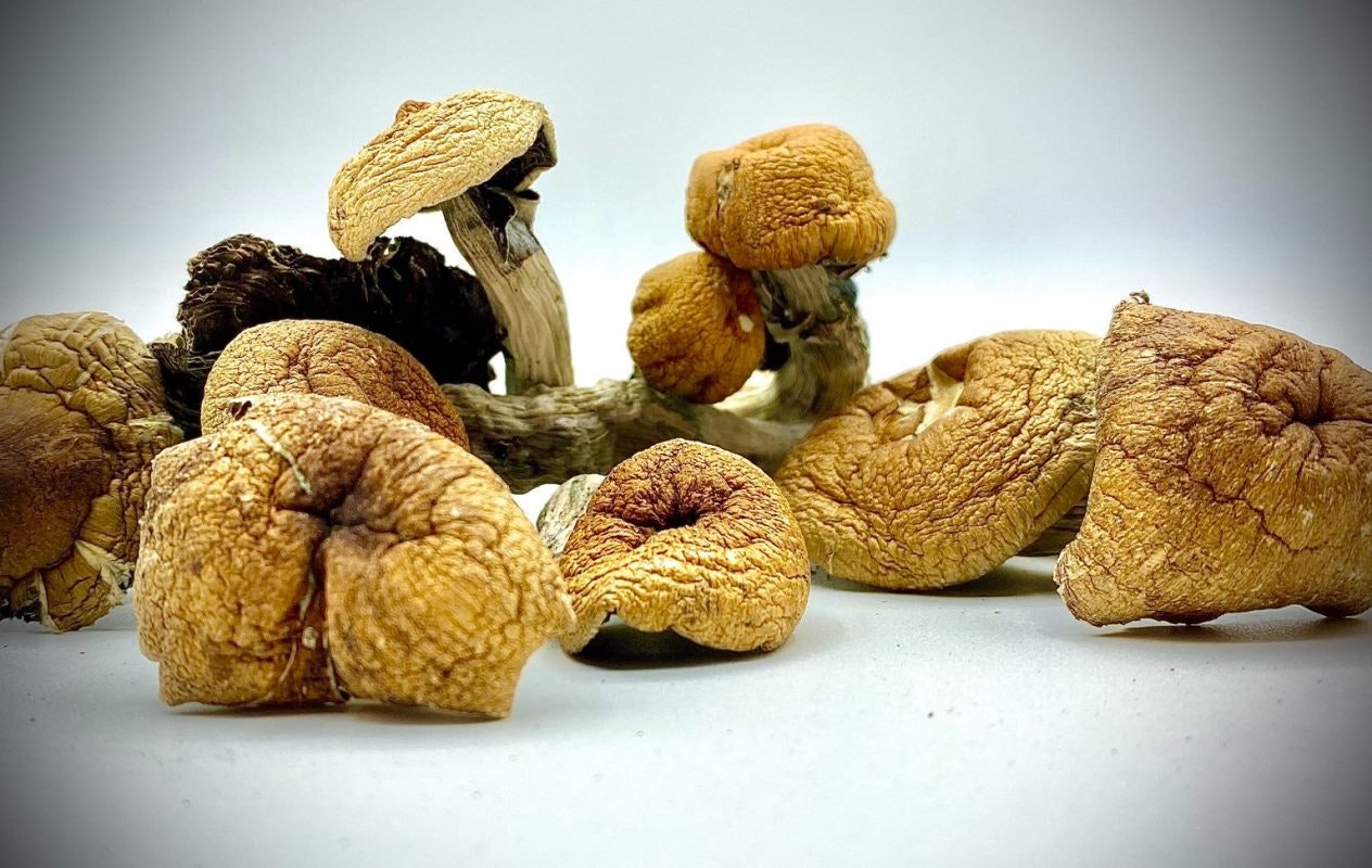 Order Magic Mushrooms Online