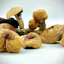 Order Magic Mushrooms Online