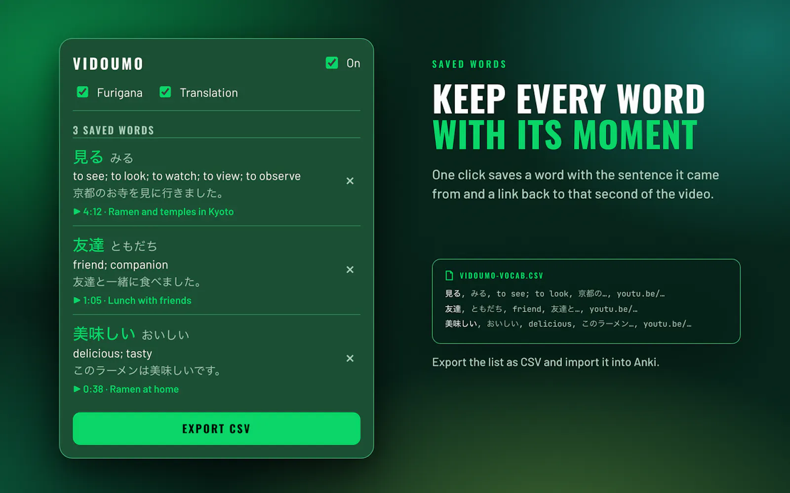 Vidoumo screenshot 5