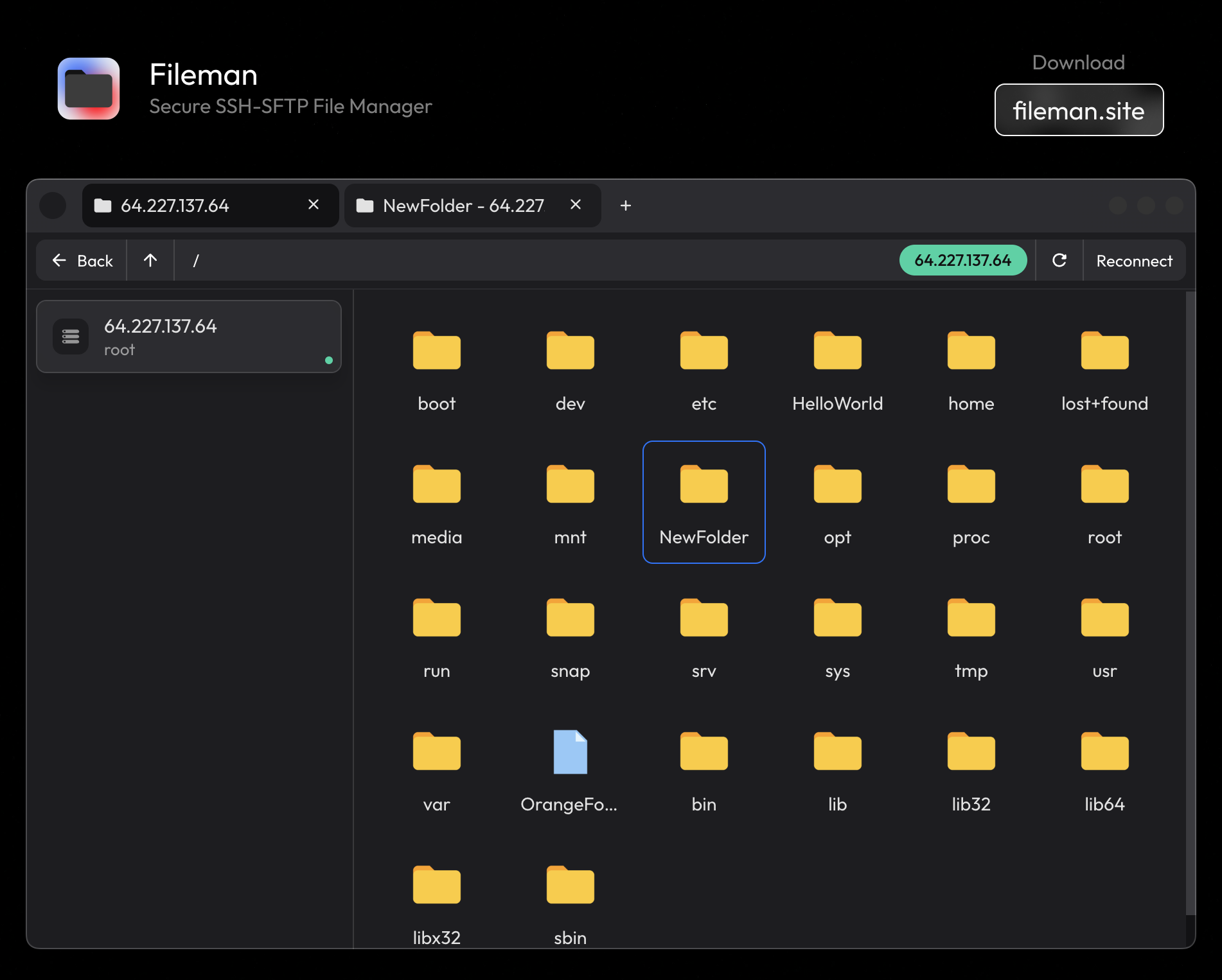 Fileman gallery image