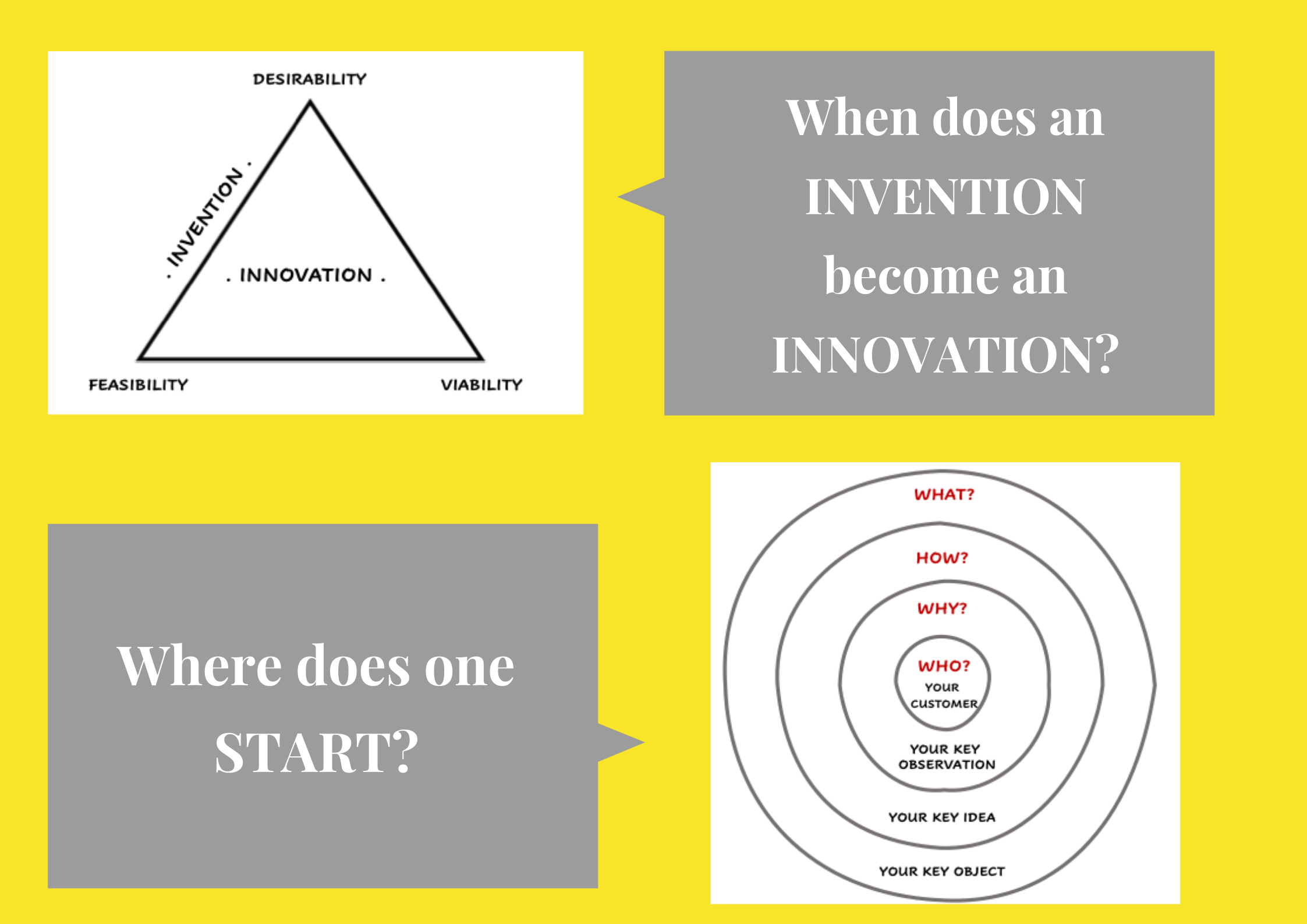 IN THE ARENA gallery image