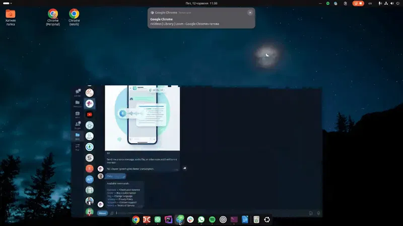 Type the Voice Bot screenshot 1 (video preview)