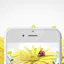 PixelSquid iOS