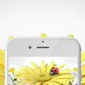 PixelSquid iOS