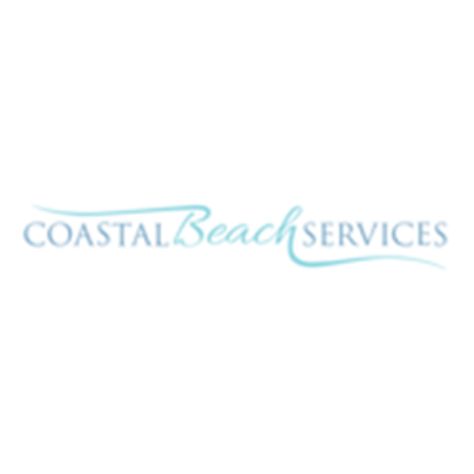 Coastal Beach Services screenshot 1