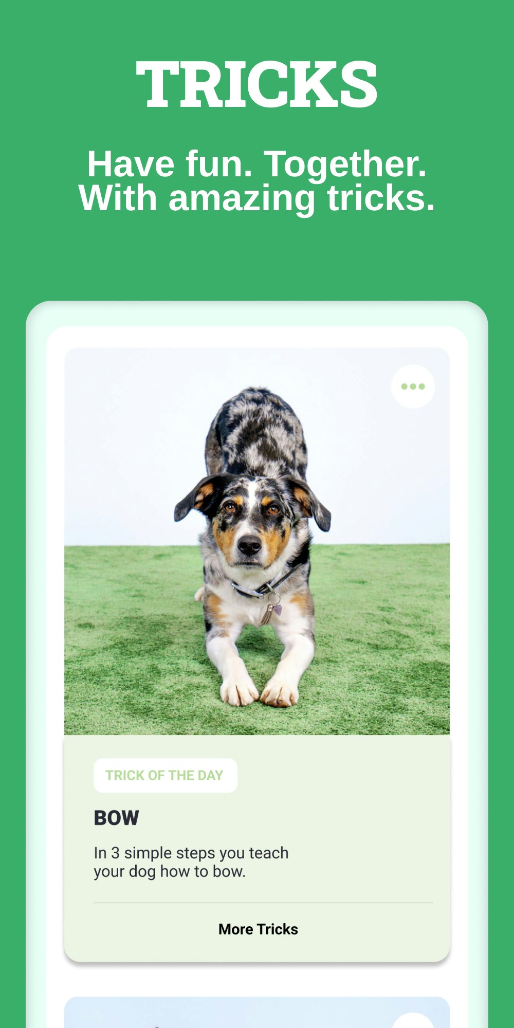 Hundeo: Dog Training App gallery image