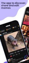 The Meme Co gallery image
