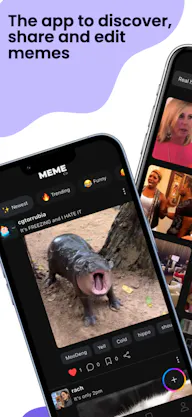 The Meme Co
