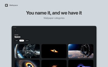 Wallspace gallery image