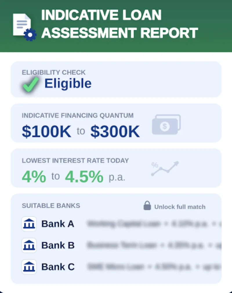 SME Loan Comparison Assessment Tool screenshot 3