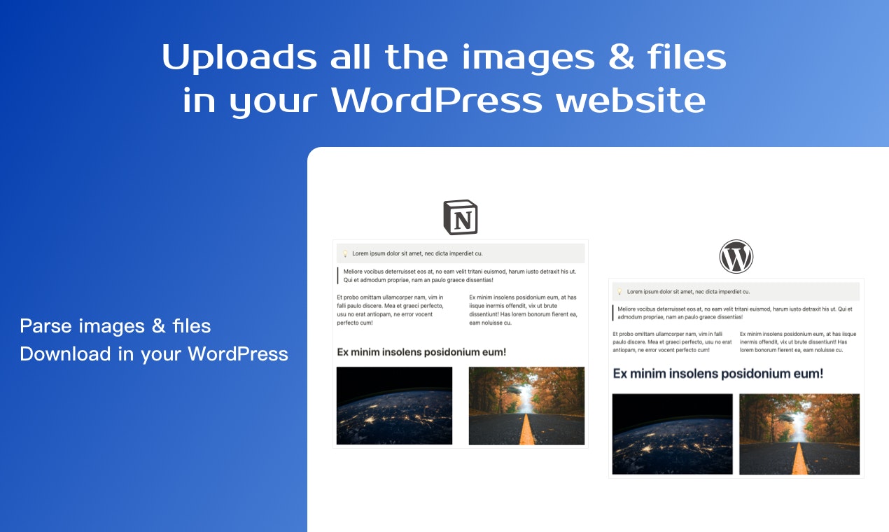 WP kavramı media 2