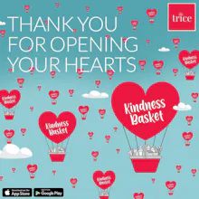Trice gallery image