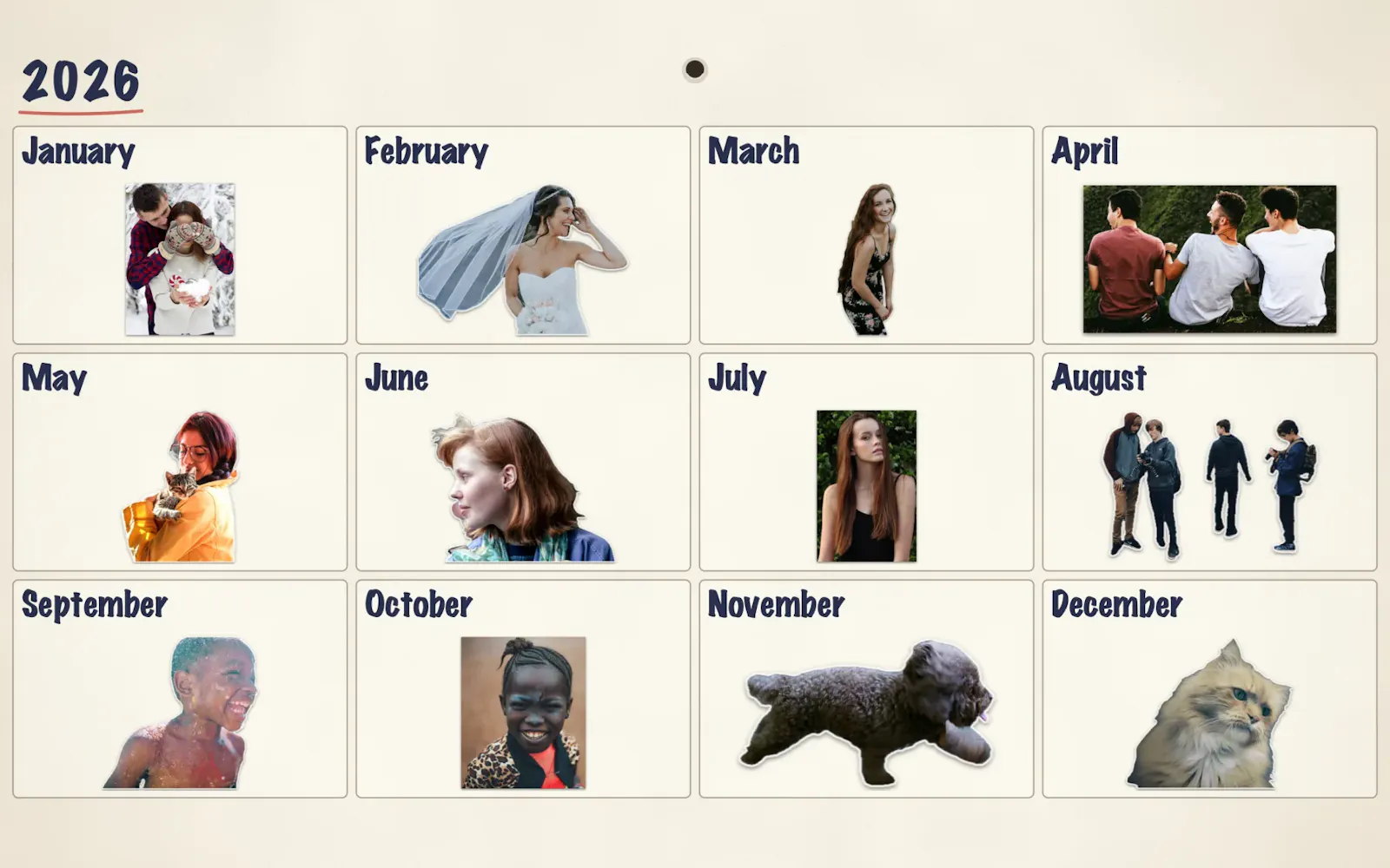 Sticta screenshot 3
