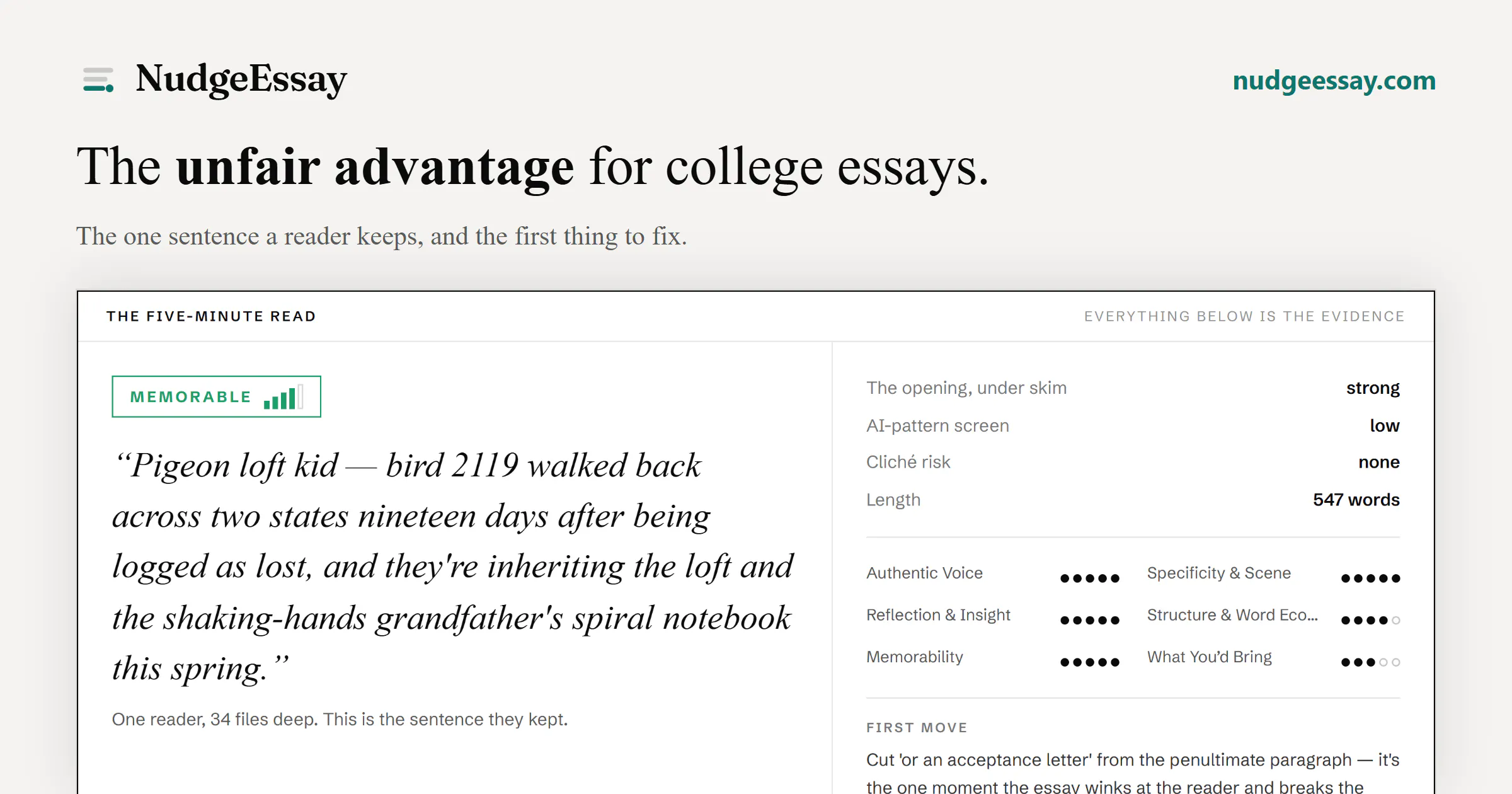 NudgeEssay gallery image