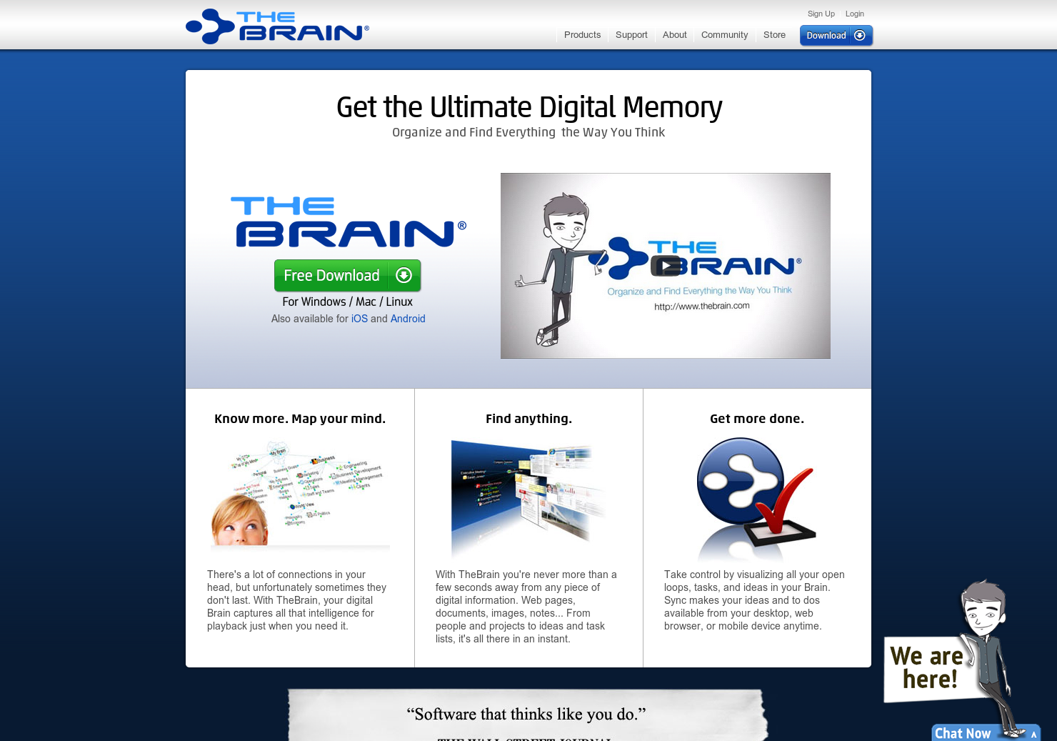 TheBrain Image