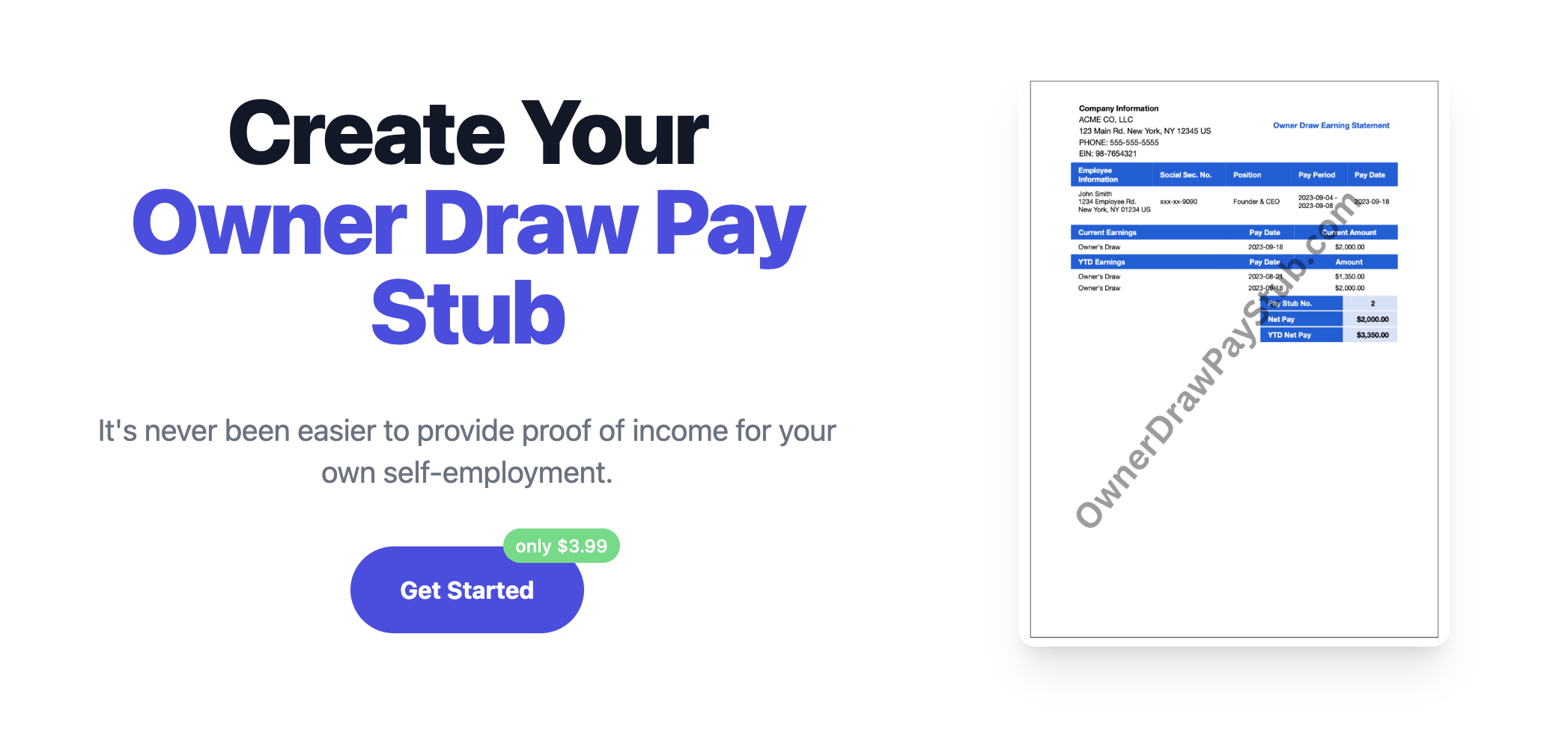 Owner Draw Pay Stub media 1