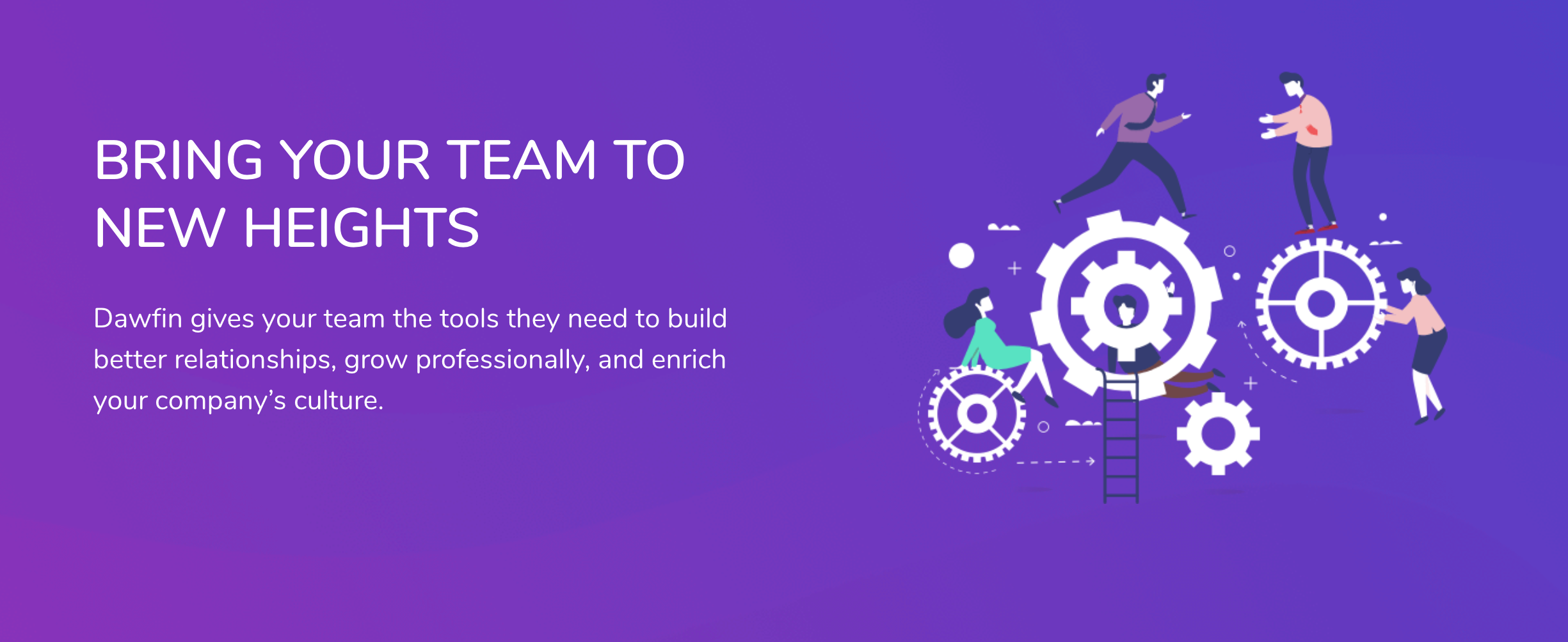 Dawfin gallery image