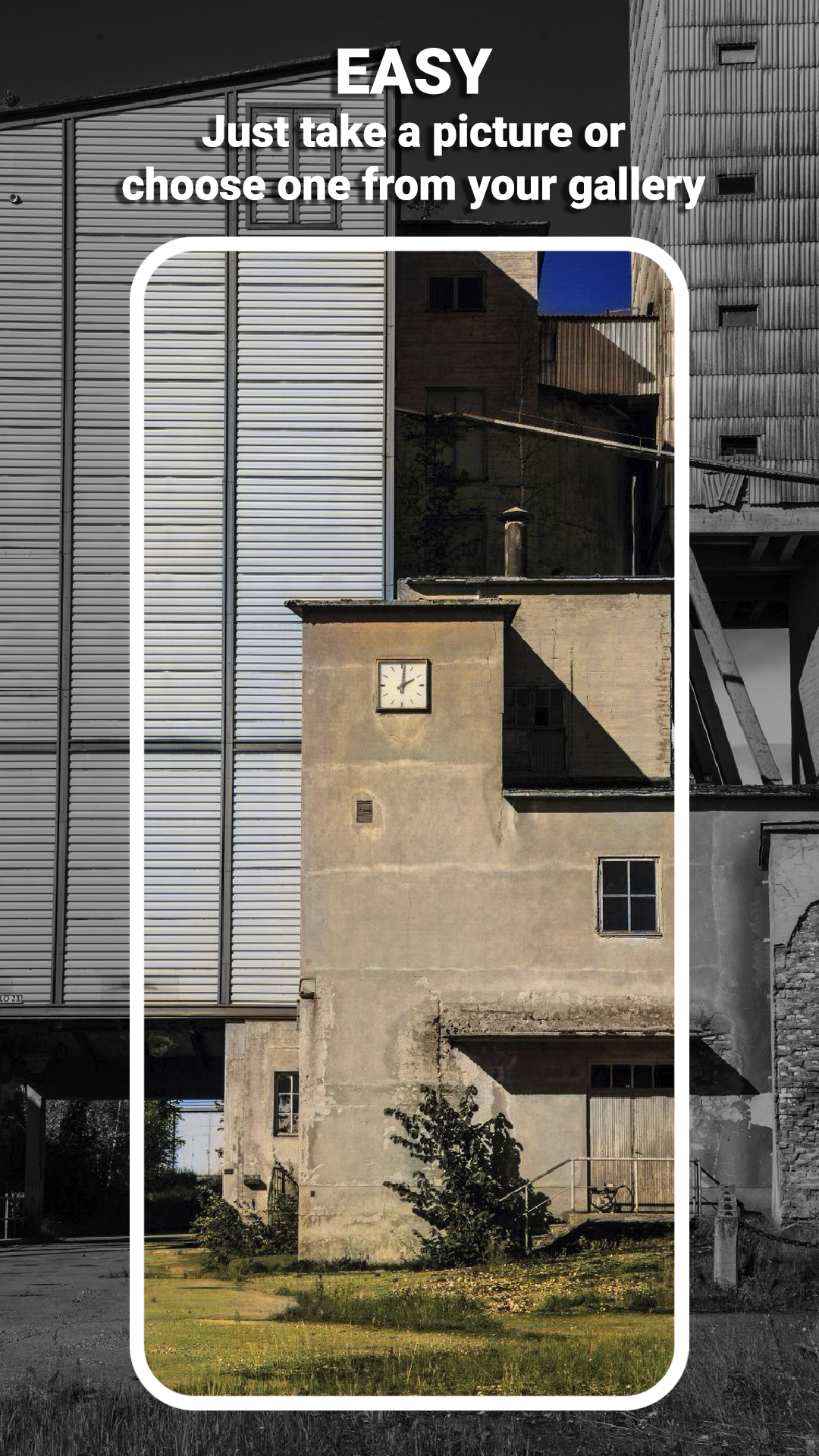 Colorize It gallery image