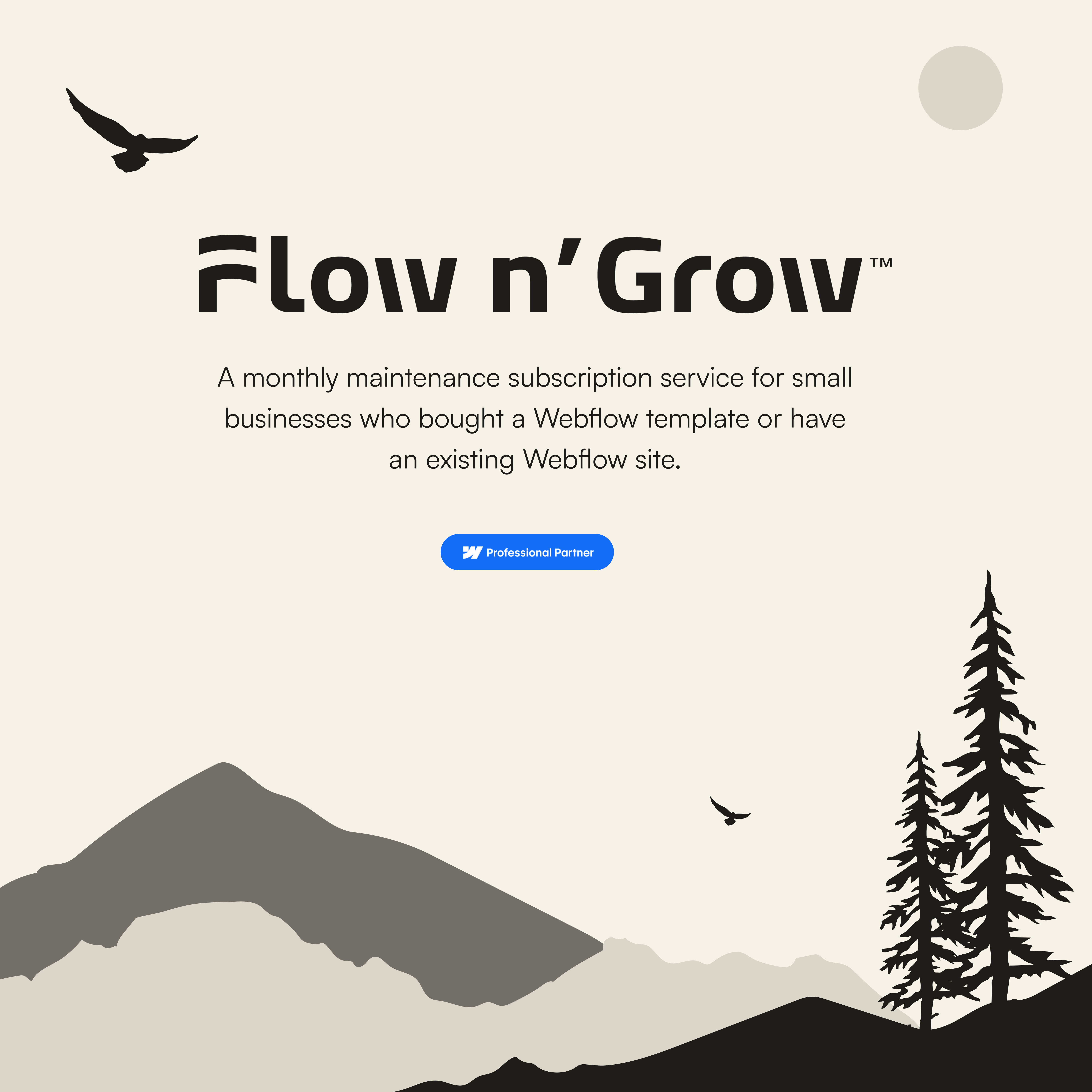 Flow n' Grow™ media 1