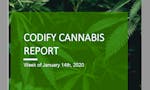 Codify Updates - Weekly Cannabis Report image