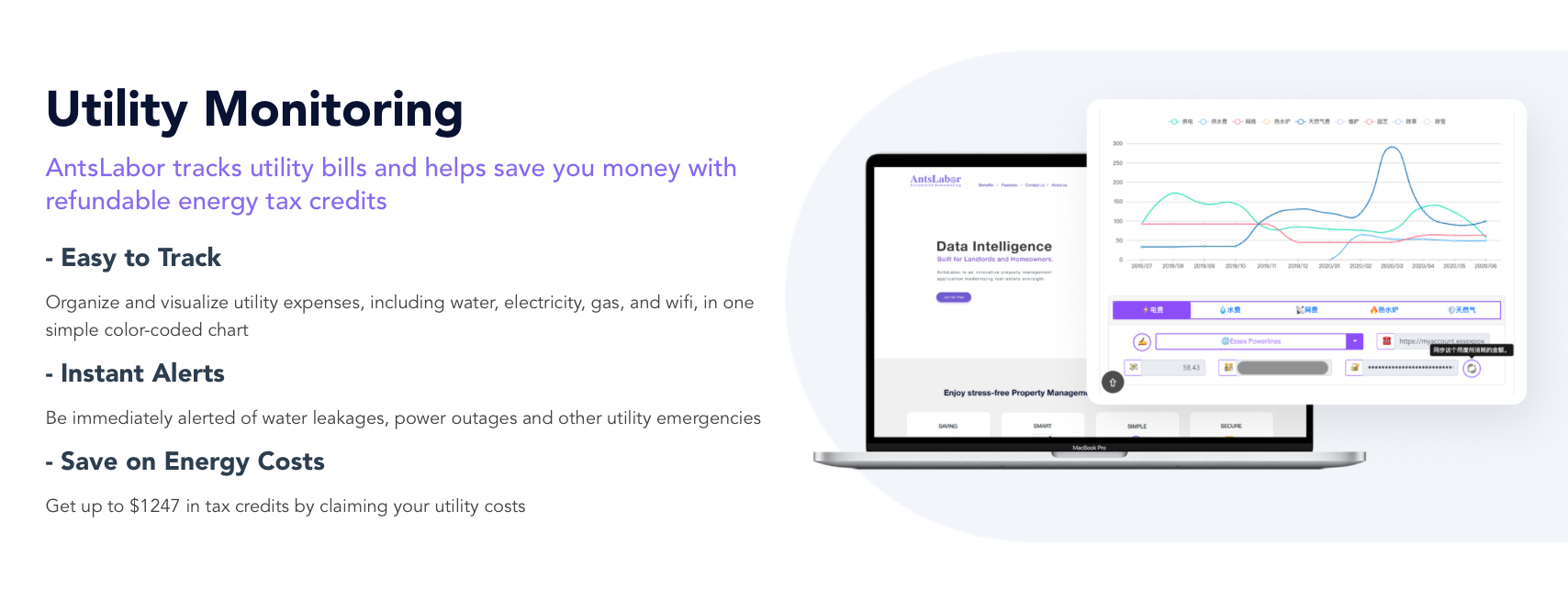 AntsLabor gallery image