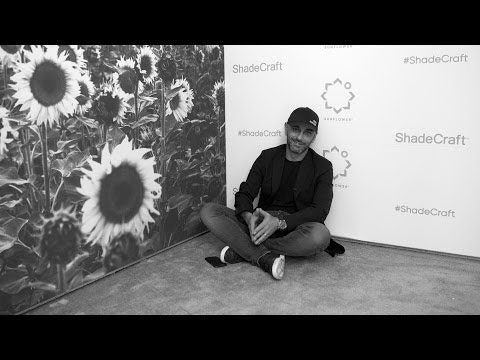 Sunflower gallery image