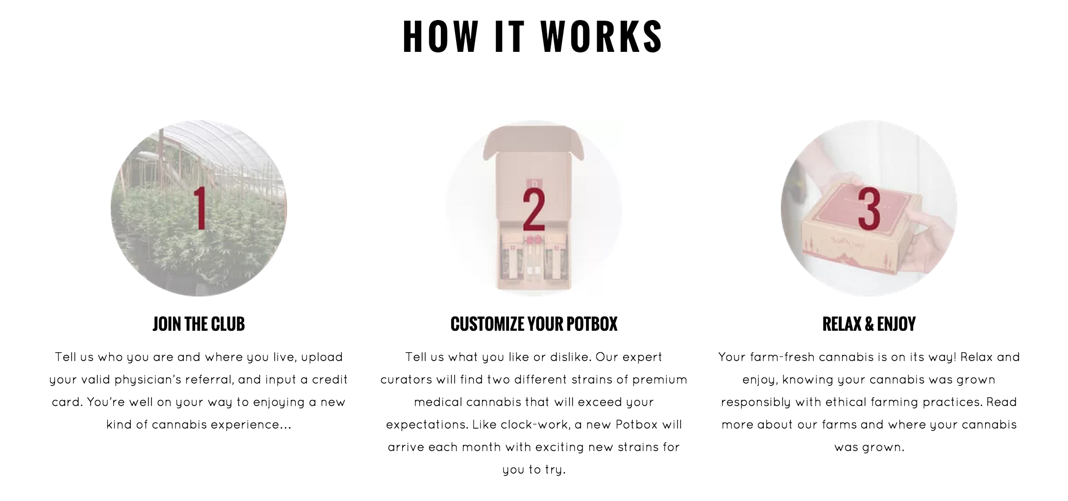 PotBox gallery image