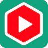 YouTube Summarizer with ChatGPT logo