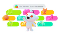 Reddit Answers