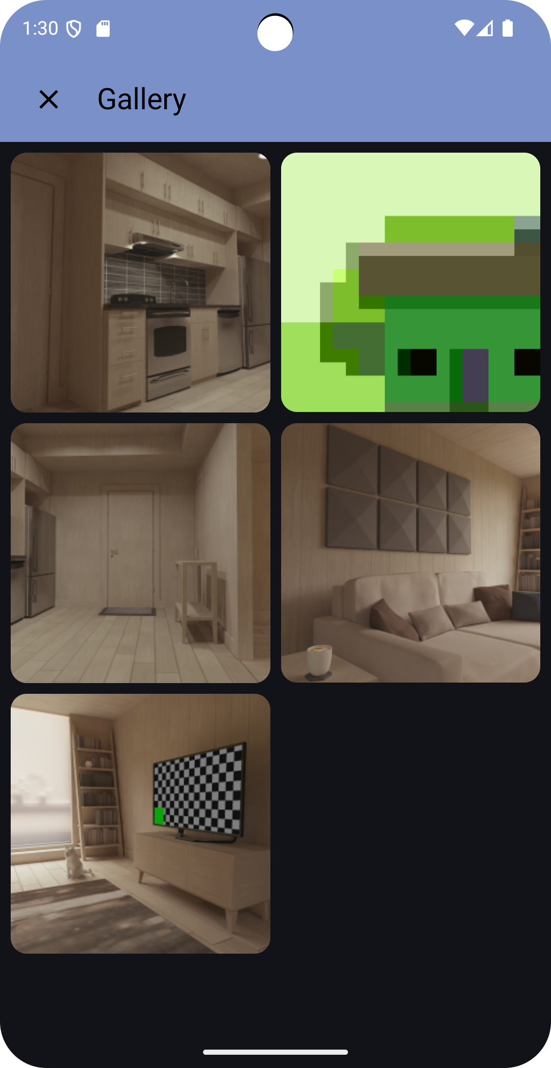 SnapSafe gallery image