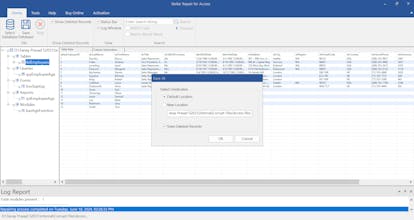 Stellar Repair for Access gallery image