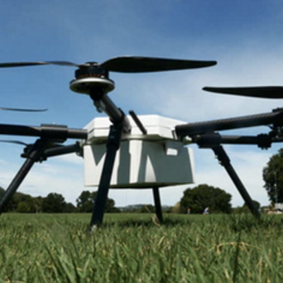 Pegasus gallery image