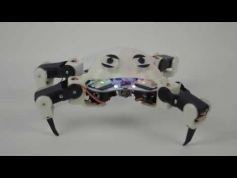 QuadBot gallery image