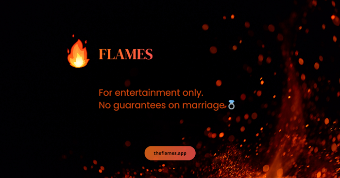 The FLAMES产品图