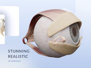 VOKA Anatomy Pro gallery image