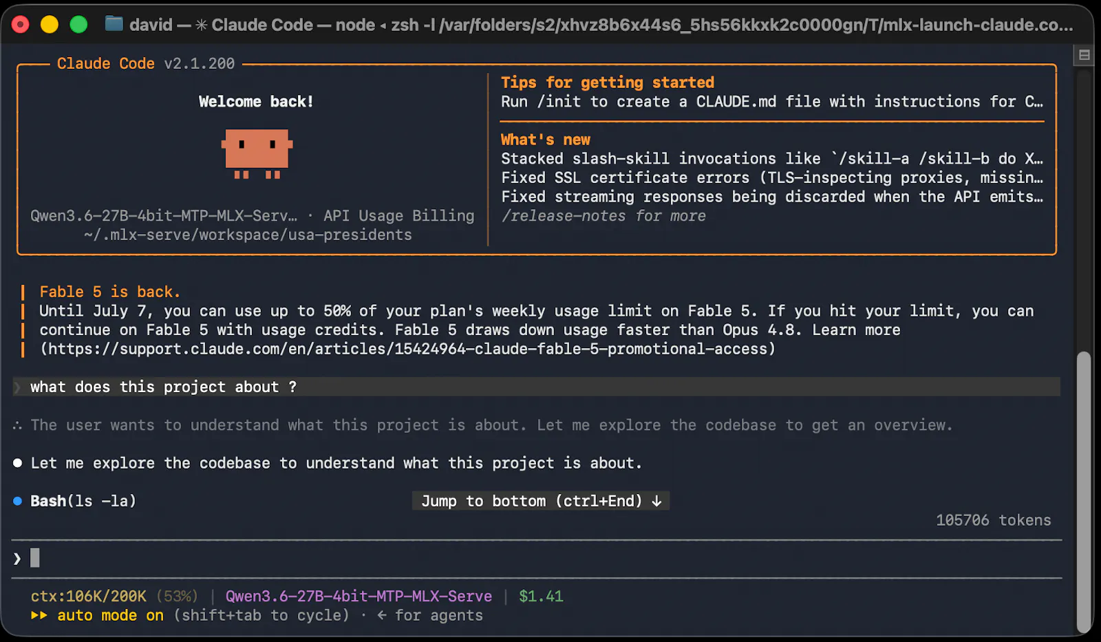 mlx-serve screenshot 6
