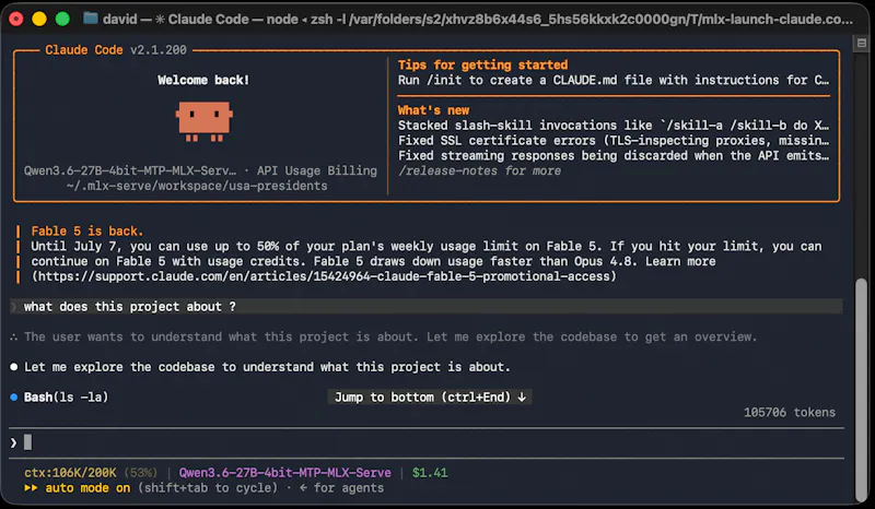 mlx-serve screenshot 6